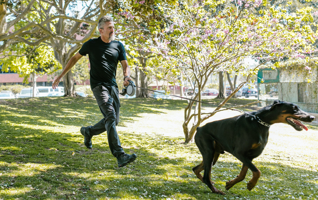 Running With Your Dog