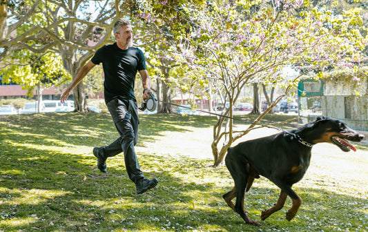 Running With Your Dog
