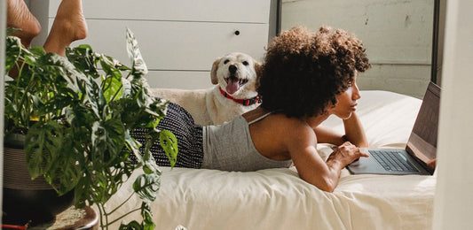 Blog posts Are herbs good for your dog